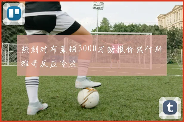 热刺对布莱顿3000万镑报价武什科维奇反应冷淡