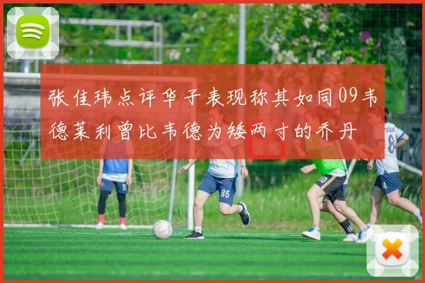 张佳玮点评华子表现称其如同09韦德莱利曾比韦德为矮两寸的乔丹